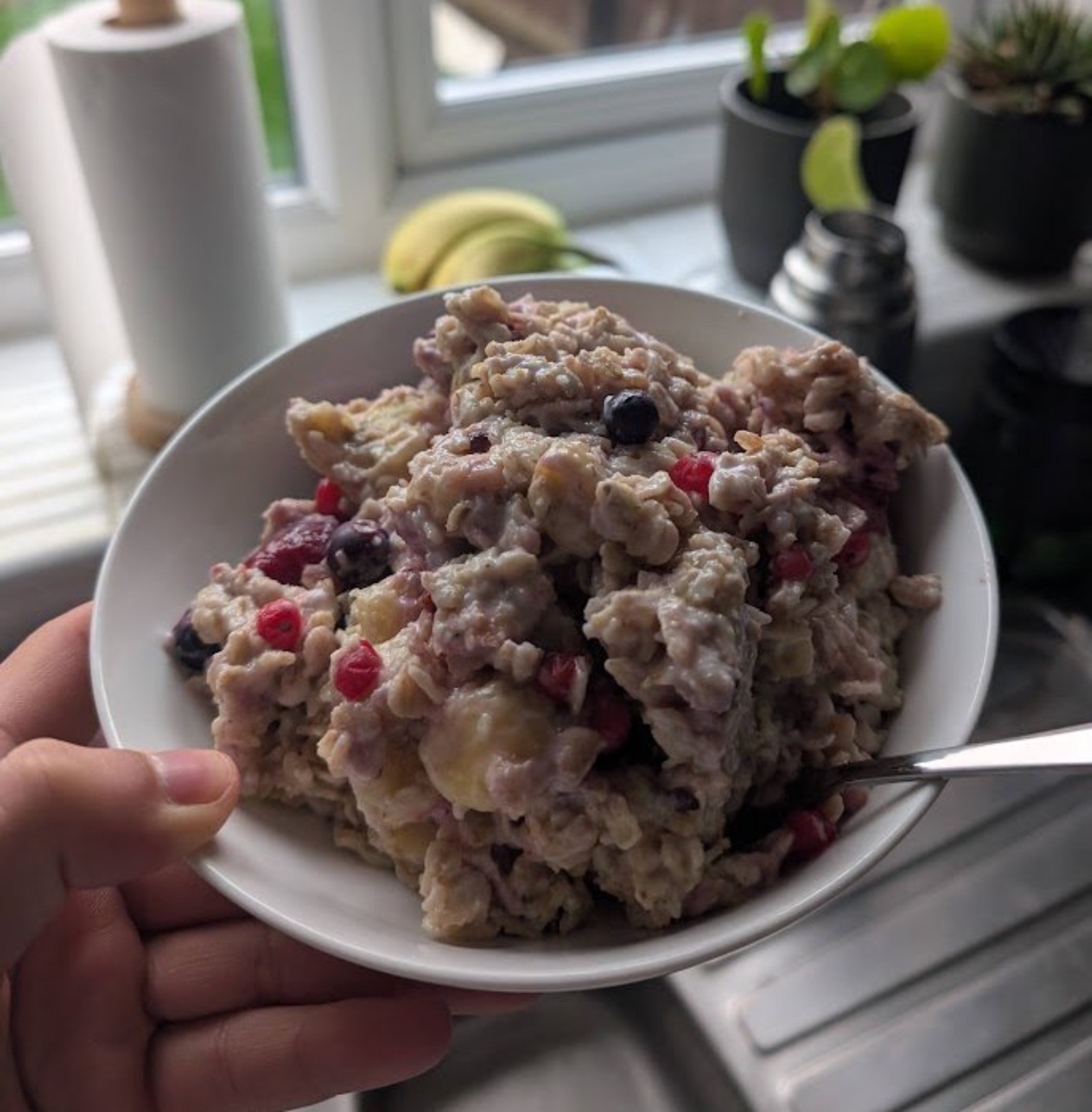 Berry Porridge